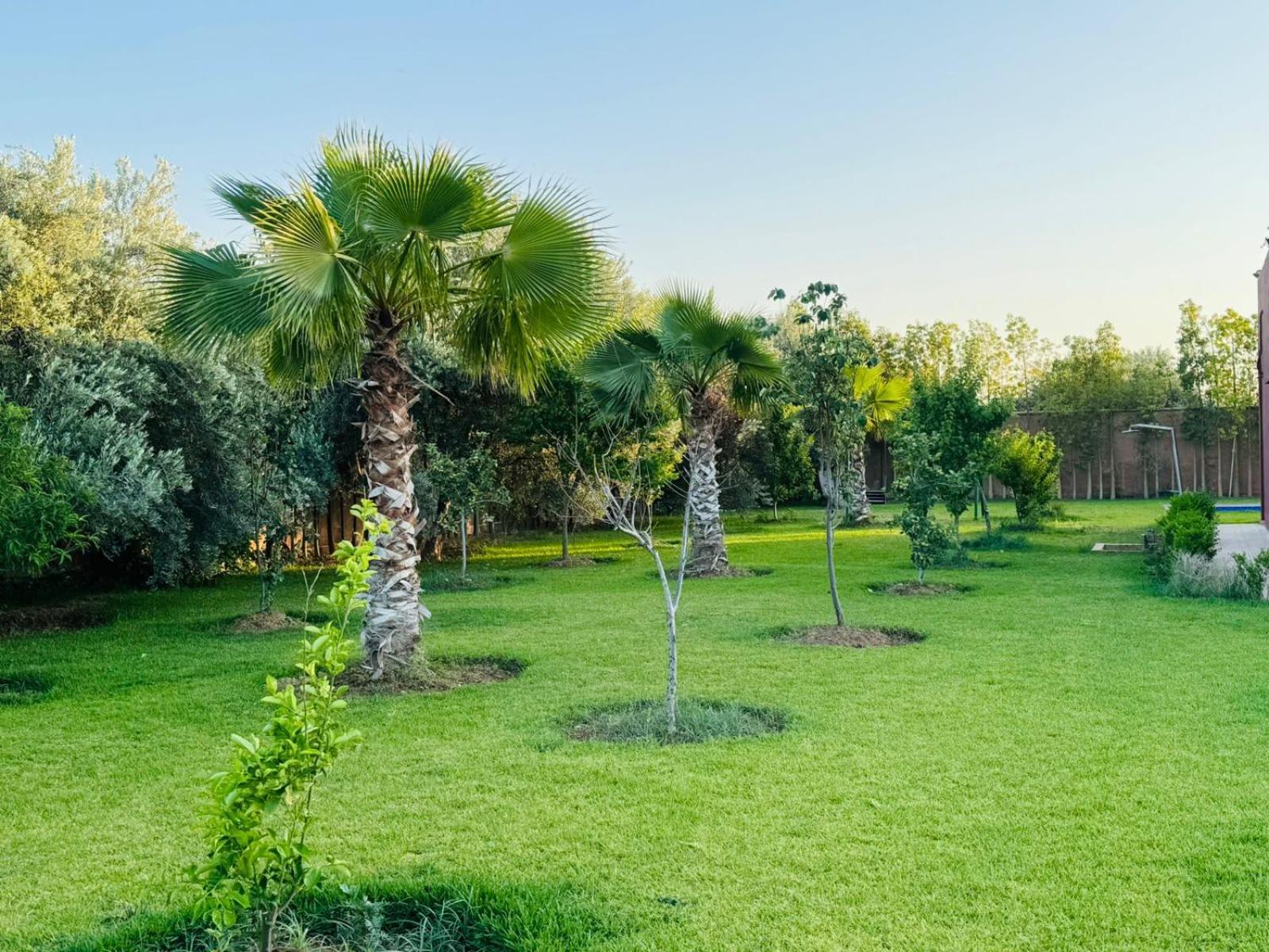 Villa Salah Marrakesh Eksteriør bilde