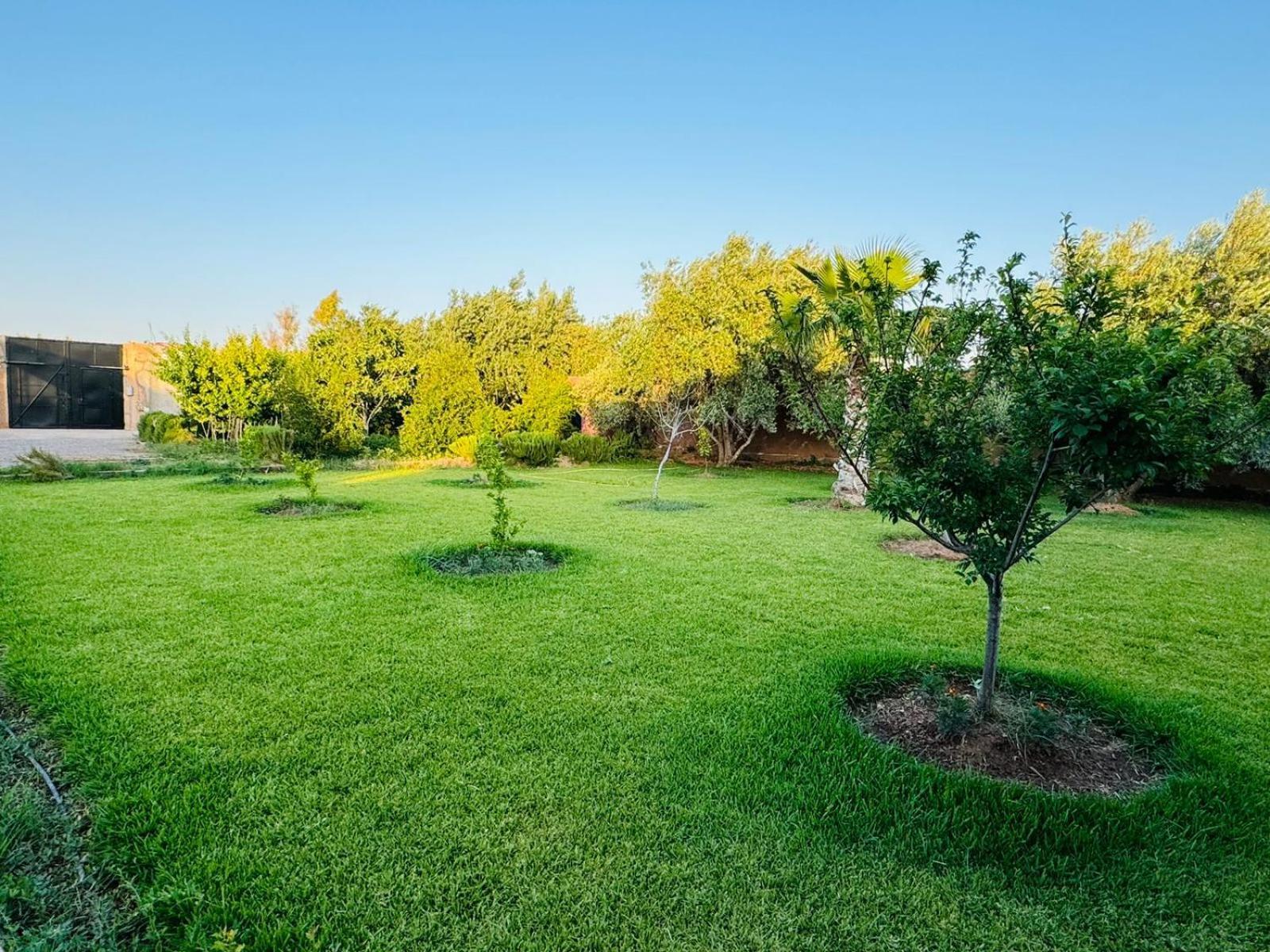 Villa Salah Marrakesh Eksteriør bilde